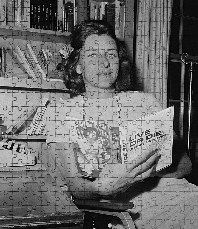 ஆன் செக்ஸ்டன் கவிதைகள் – 03